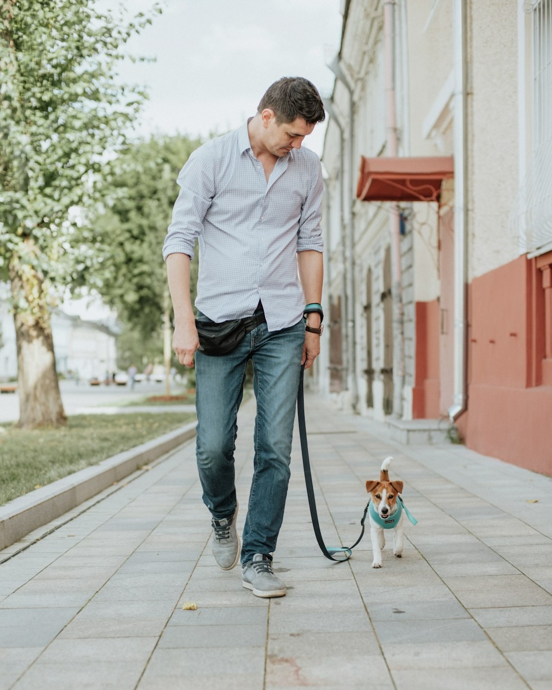 man in white polo shirt and blue denim jeans holding brown dog